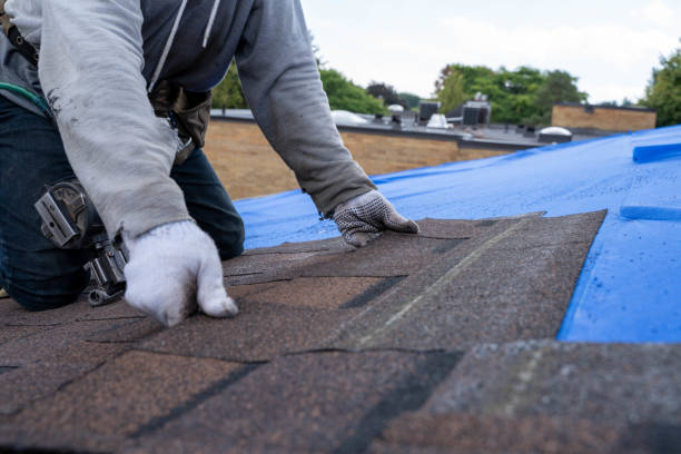 Best New Roof Installation  in Utica, NY